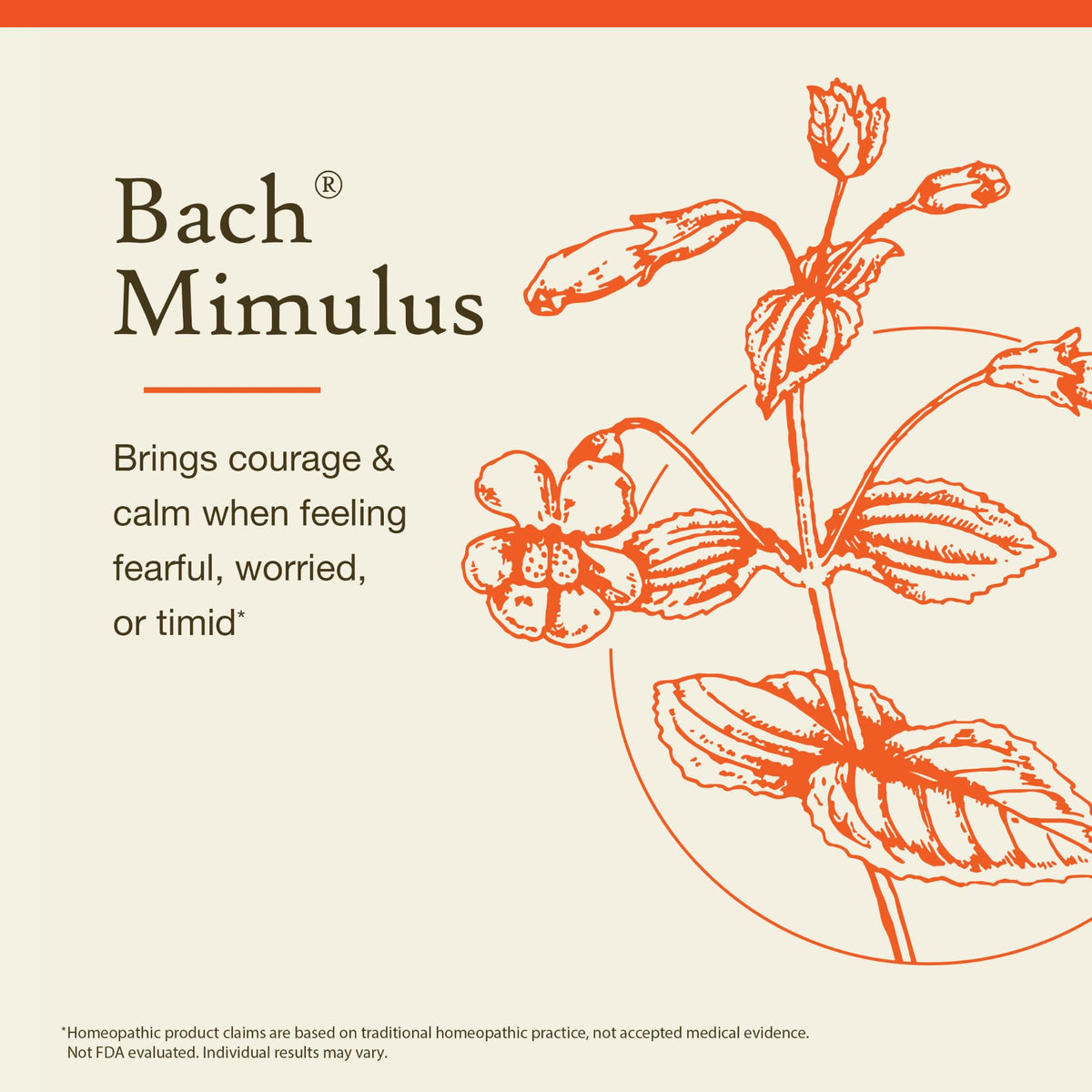 Bach Flower Remedies Mimulus - 20mL Dropper - image 3