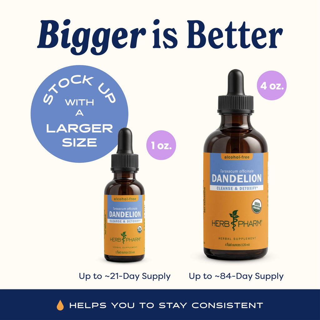 Herb Pharm Rapid Immune Boost Liquid Herbal Formula for Active Immune