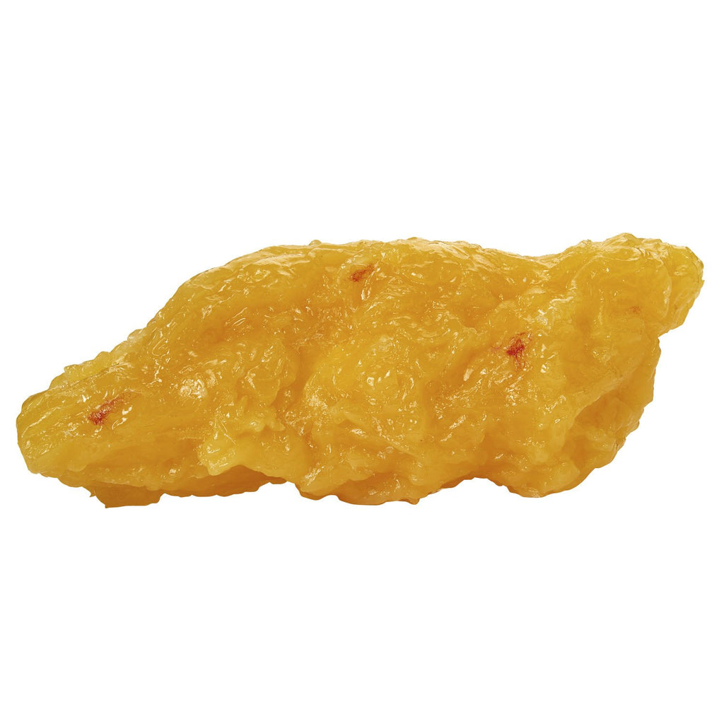 Nasco Human Body Fat Replica 5 lb. Educational Model - image 3