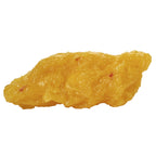 Nasco Human Body Fat Replica 5 lb. Educational Model - image 3