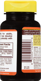 Sundance Vitamin B-12 1000 mcg Fast Dissolve Tablets - 120 Count - image 4