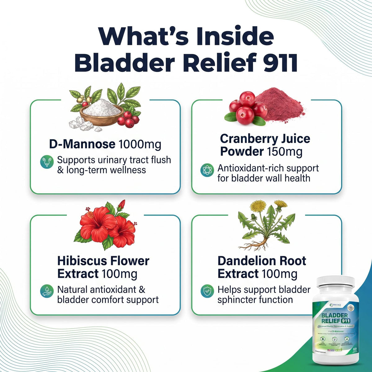 Phytage Labs Bladder Relief 911 Urinary Tract Support - 60 Vegetarian Capsules - image 3