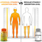 SUPPLEMENTS STUDIO Liposomal Vitamin C Capsules - Organic Acerola