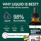 Selvaherb Burdock Root Organic Tincture for Liver Support - 2 Fl Oz - image 5