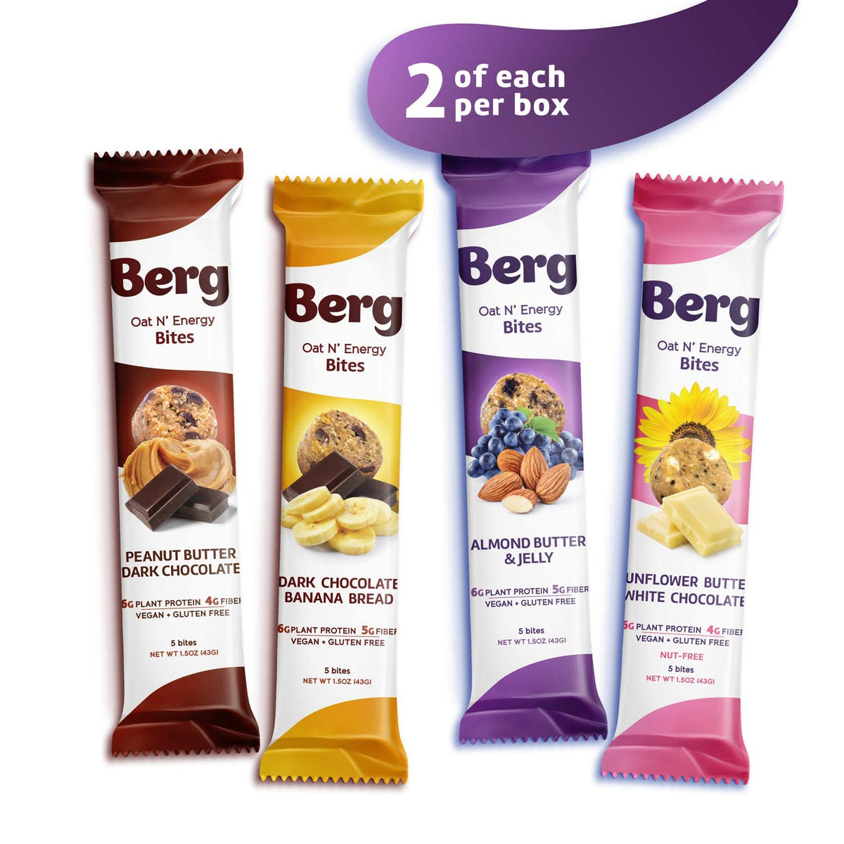 Berg Bites Energy Bites Variety Pack Plant-Based Protein - 8 Pack - image 2