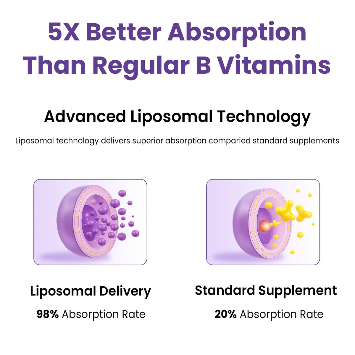 Franguly Liposomal Vitamin B Complex Liquid Sublingual B Complex