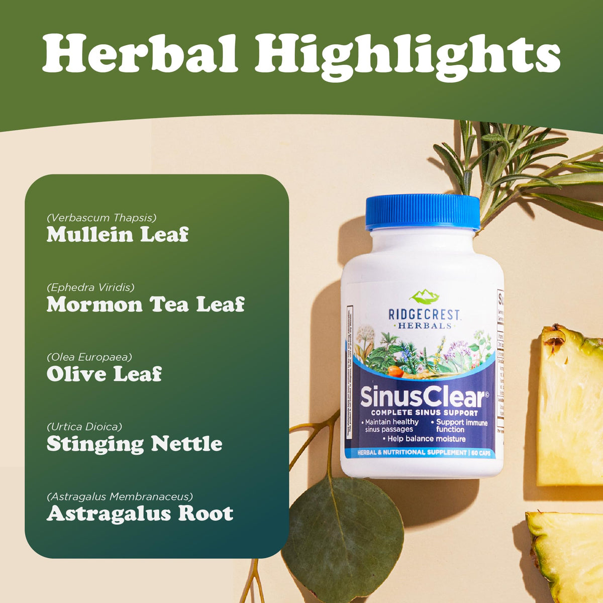 RidgeCrest Herbals SinusClear Mullein Sinus Support - 60 Capsules - image 5