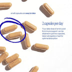 Herstat L-Lysine & Propolis Immune Support - 60 Capsules - image 7