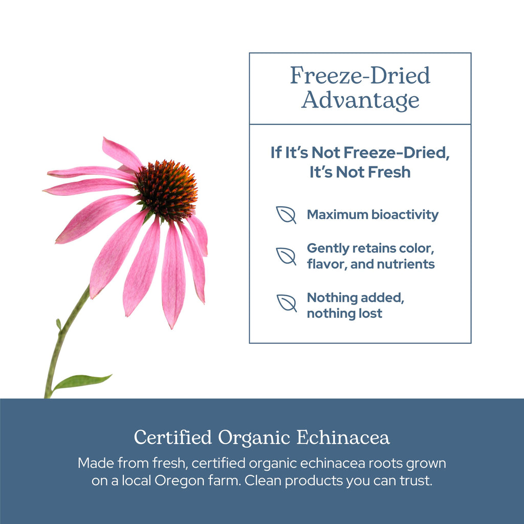 Eclectic Institute Echinacea Purpurea Root Capsules - 90 Count - image 5