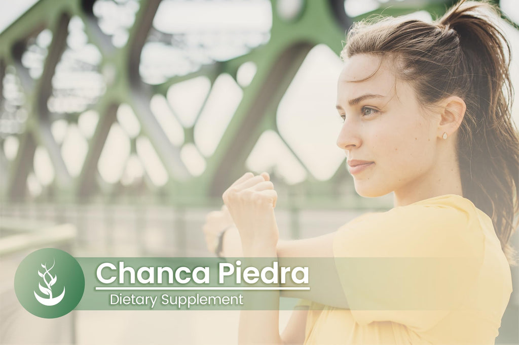 PURE ORIGINAL INGREDIENTS Chanca Piedra No Magnesium Or Rice Fillers