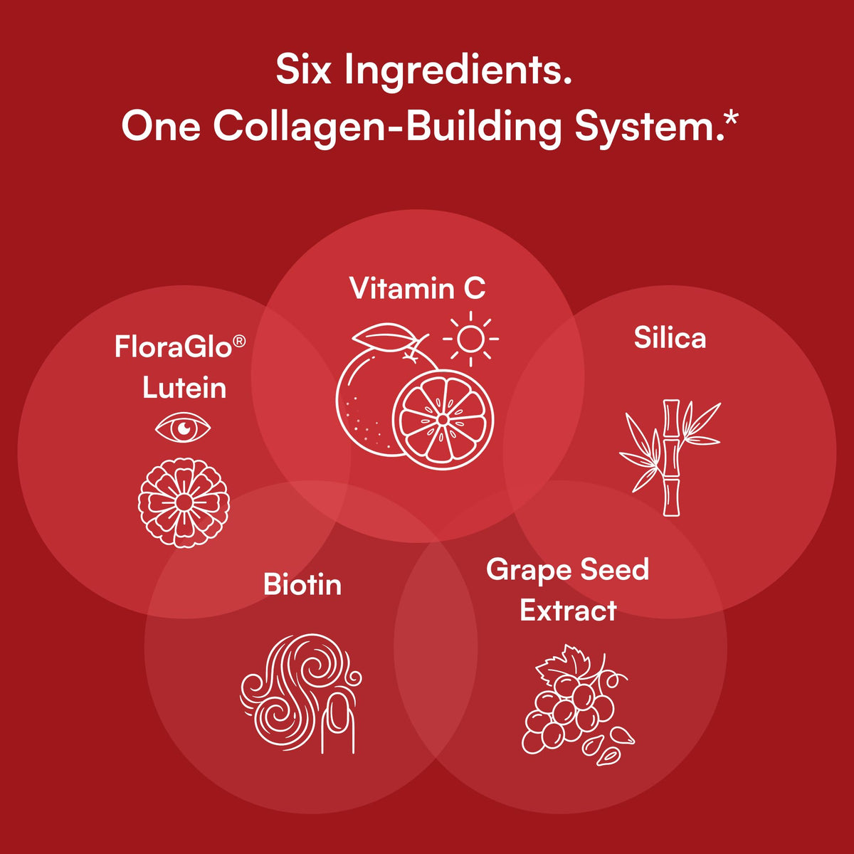 Purity Products Vegan Collagen Builder Tablet - 30 Count - image 4