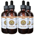 Hawaii Pharm Amla (Emblica officinalis) Liquid Extract