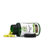 Herbal Forest Quercetin 500 - 60 Capsules - image 3