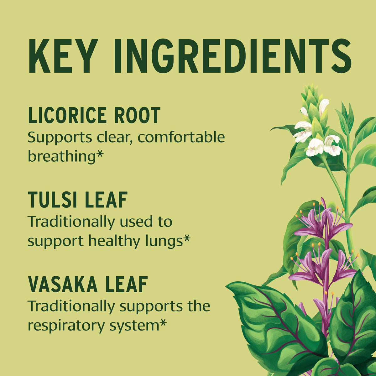 Banyan Botanicals Lung Formula Respiratory Support - 90 Tablets - image 3