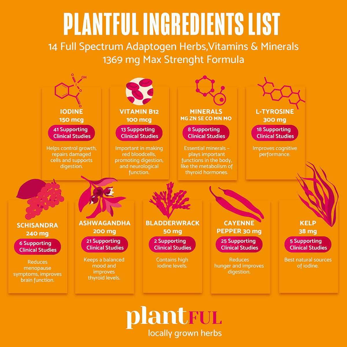 PLANTFUL RESEARCH Thyroid Support Complex for Energy & Metabolism - 60 Capsules - image 8