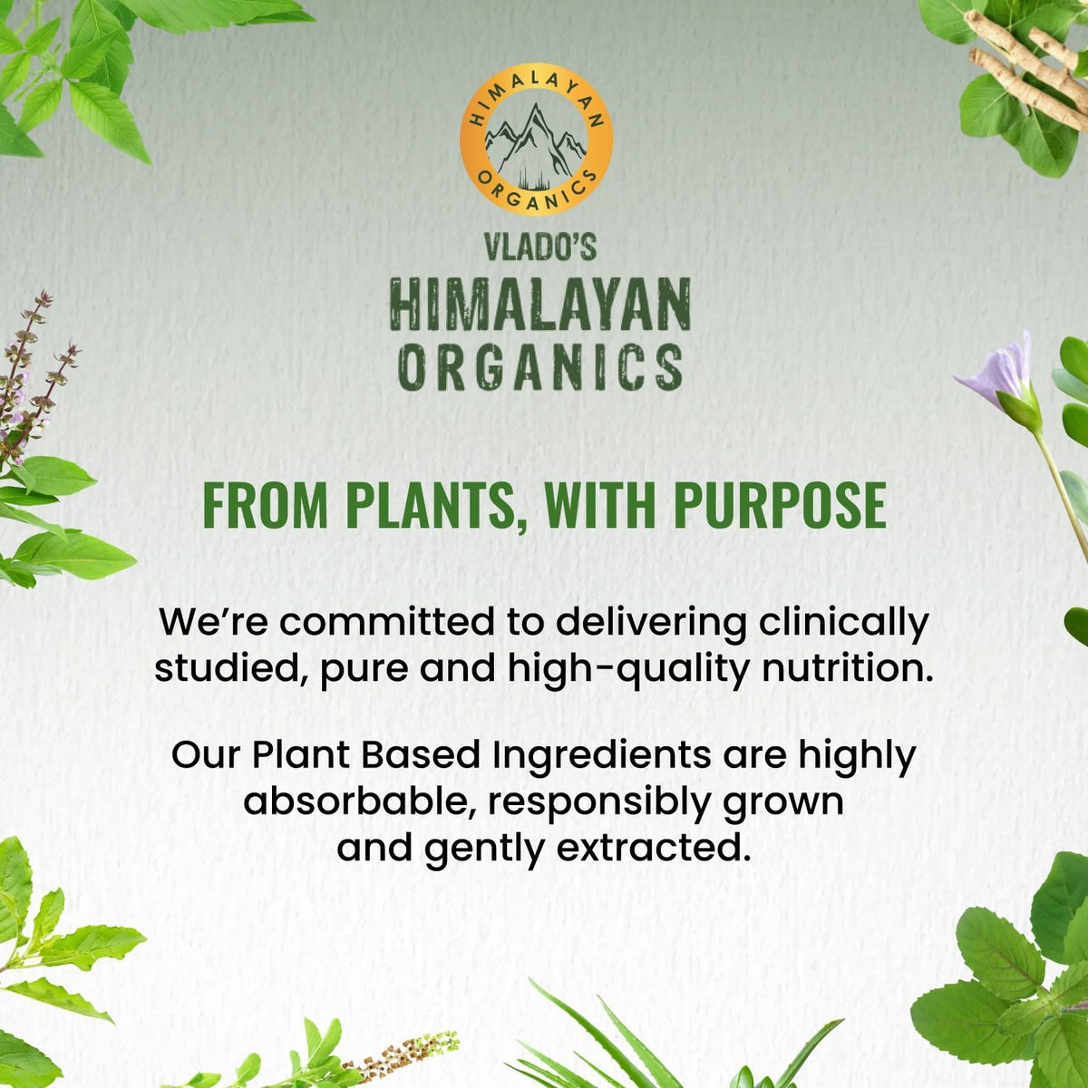 Himalayan Organics Plant-Based Collagen Builder with B Vitamins - 90 Capsules - image 3