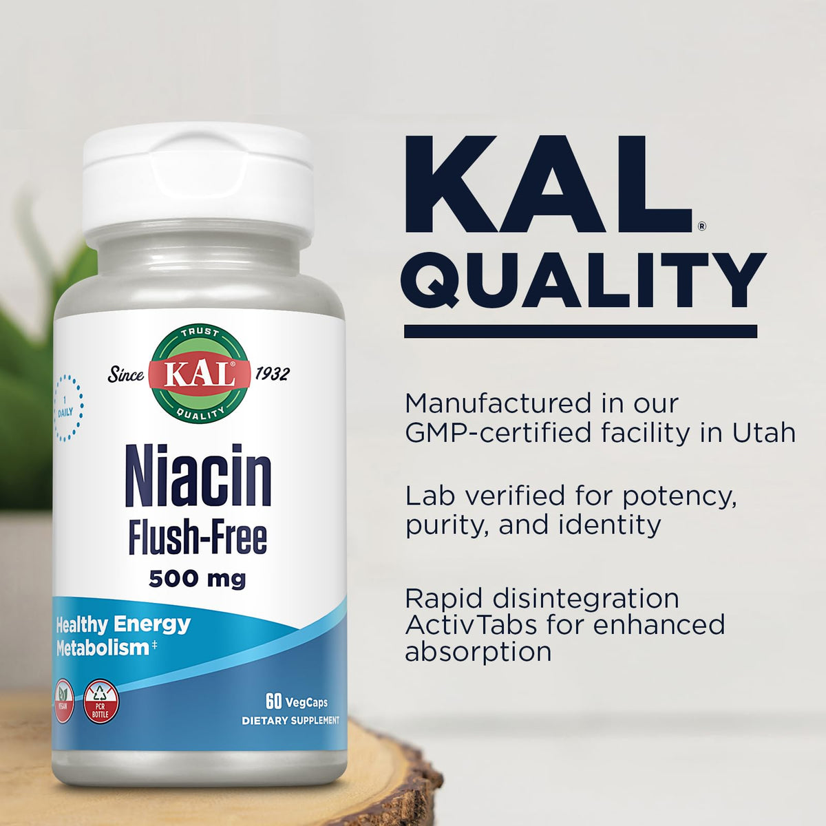 KAL 500 Mg Niacin Flush Free Tablets