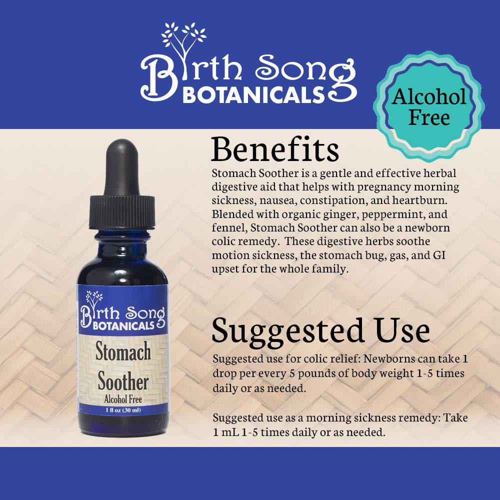 Birth Song Botanicals Stomach Soother Tincture - 1 oz - image 4