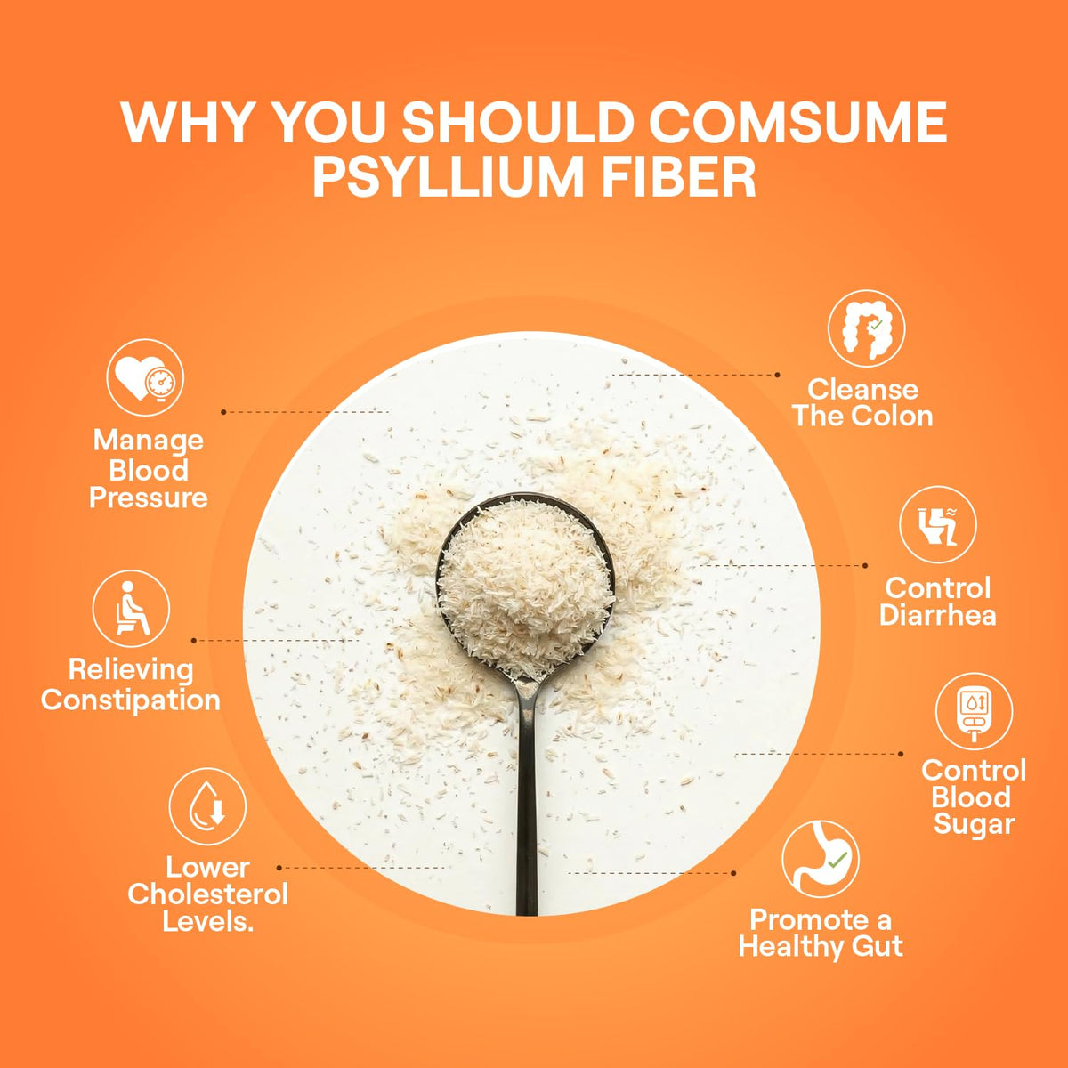 EARTHROOT Psyllium Husk Powder