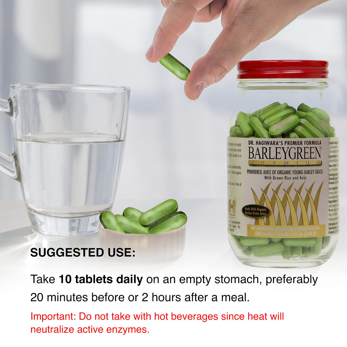 BARLEYGREEN Organic Barley Grass Vegetable Supplement - 280 Caplets - image 4