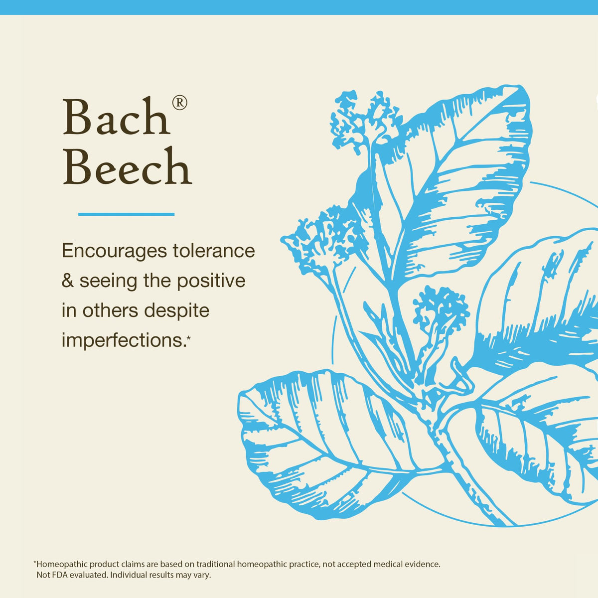 Bach Flower Remedies Beech Essence - 20 mL - image 3