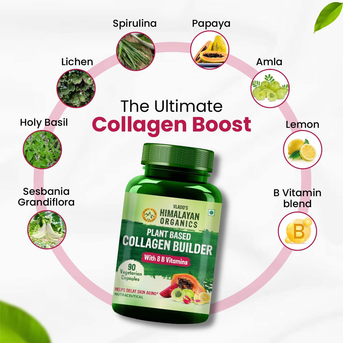 Himalayan Organics Plant-Based Collagen Builder with B Vitamins - 90 Capsules - image 4