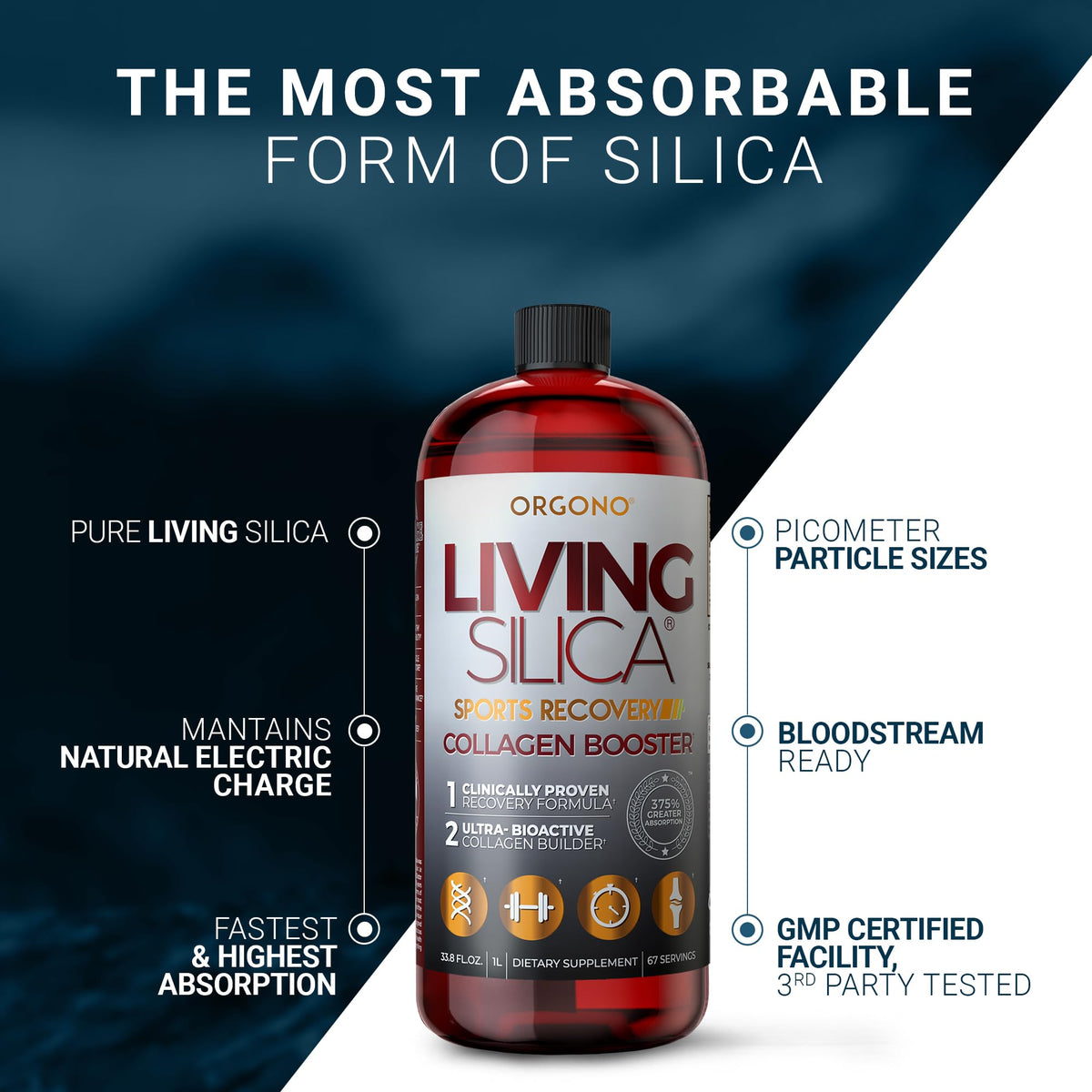 Living Silica ORGONO Sports Recovery Silica Supplement - 33.8 Fl Oz - image 4