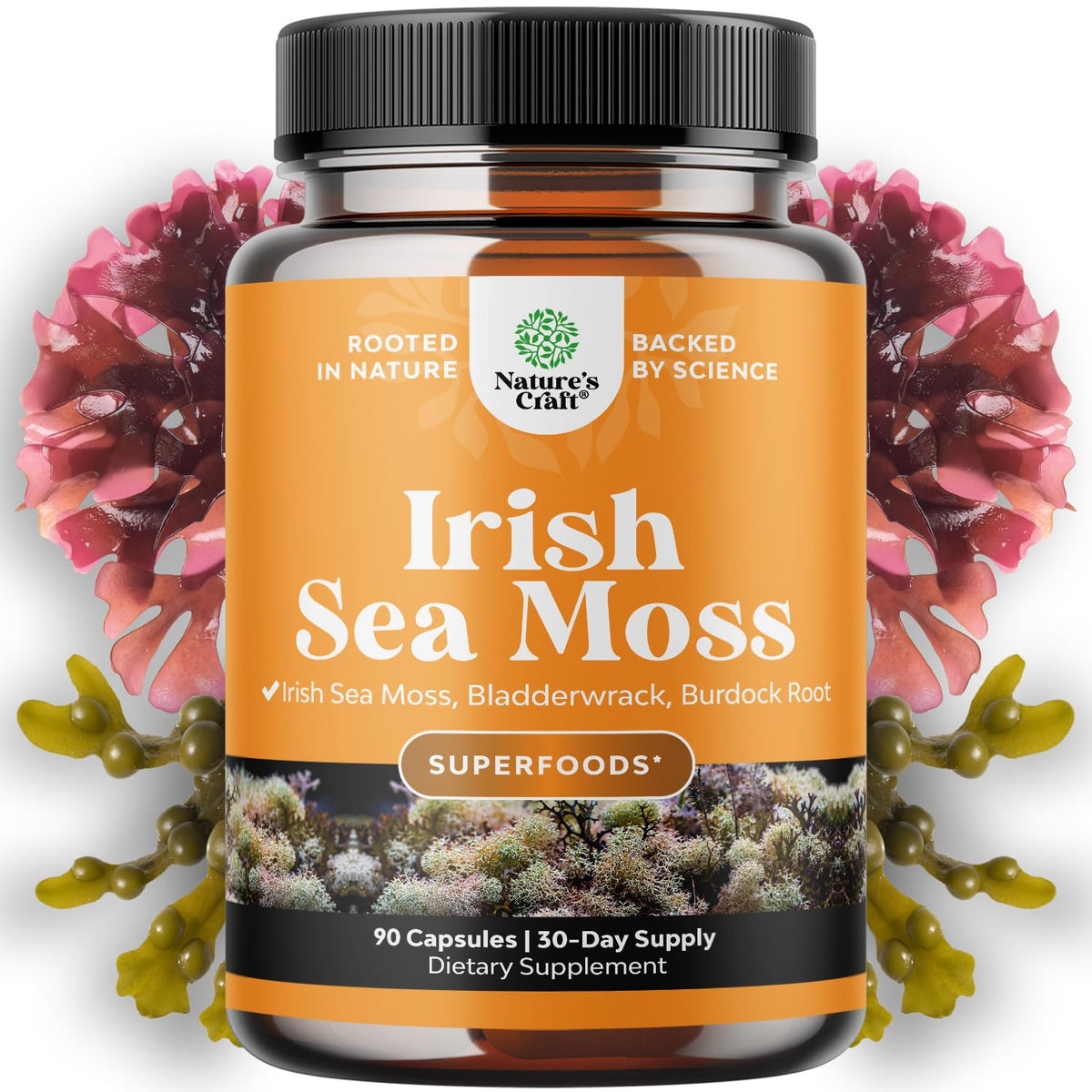 Natures Craft Irish Sea Moss Capsules with Bladderwrack & Burdock - 90 Capsules