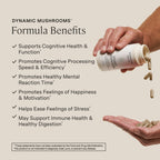Stonehenge Health Dynamic Mushrooms Lions Mane Brain Support - 60 Capsules - image 2