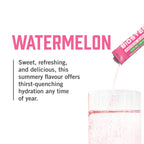 BioSteel Electrolyte Hydration Mix Watermelon - 12 Sticks - image 5