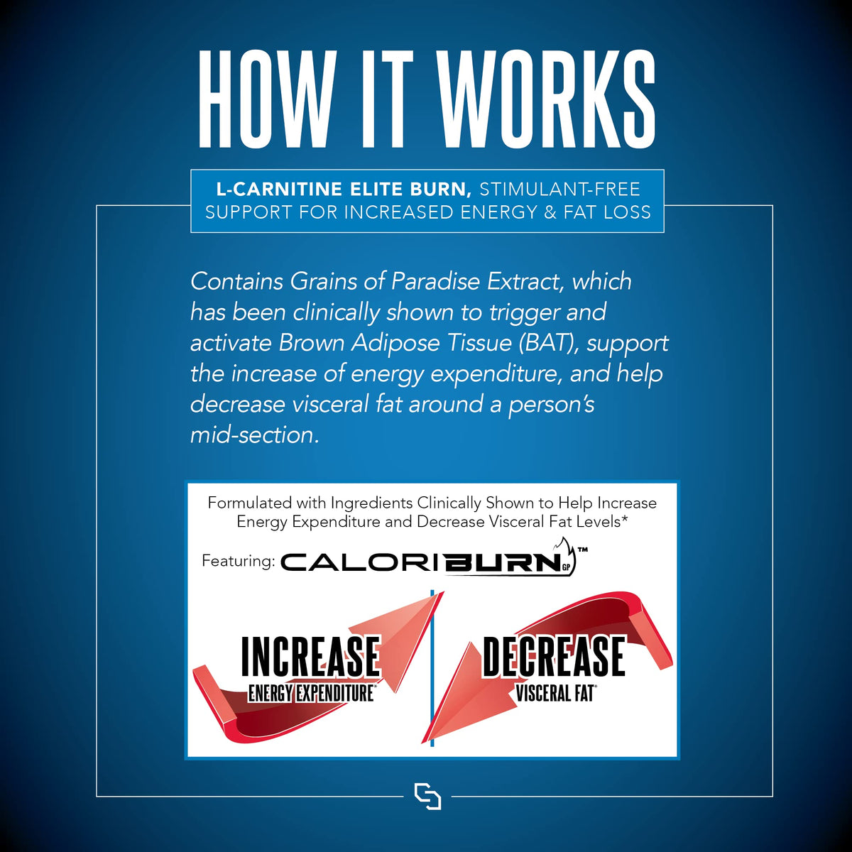 SIRENLABS L-Carnitine Elite Burn Lemon Lime - 32 Servings