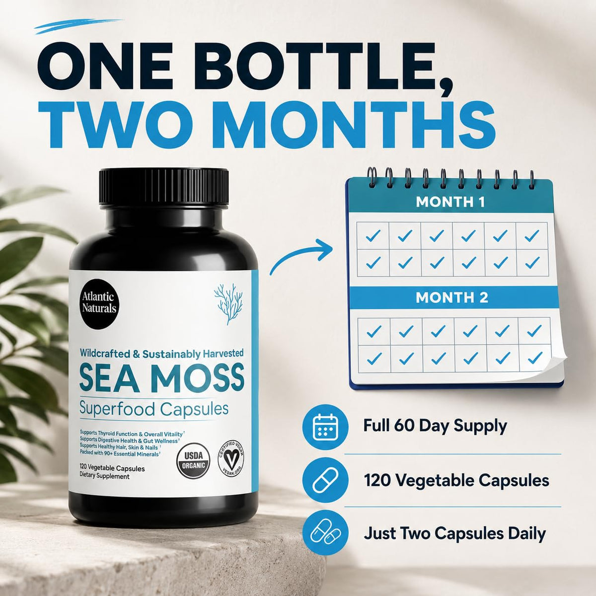 Atlantic Naturals Organic Irish Sea Moss Capsules - 120 Vegetarian Capsules - image 6