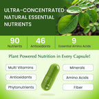 Organic Veda Moringa Capsule 1000mg - 360 Vegan Capsules - image 3