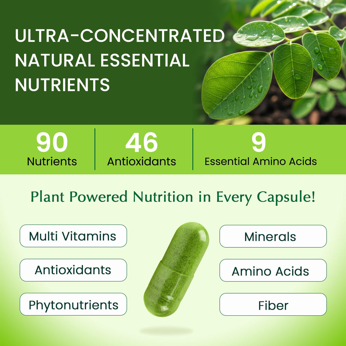 Organic Veda Moringa Capsule 1000mg - 120 Vegan Capsules - image 3