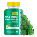 MEGNETA Sea Moss Gummies with Shilajit & Ashwagandha - 60 Gummies