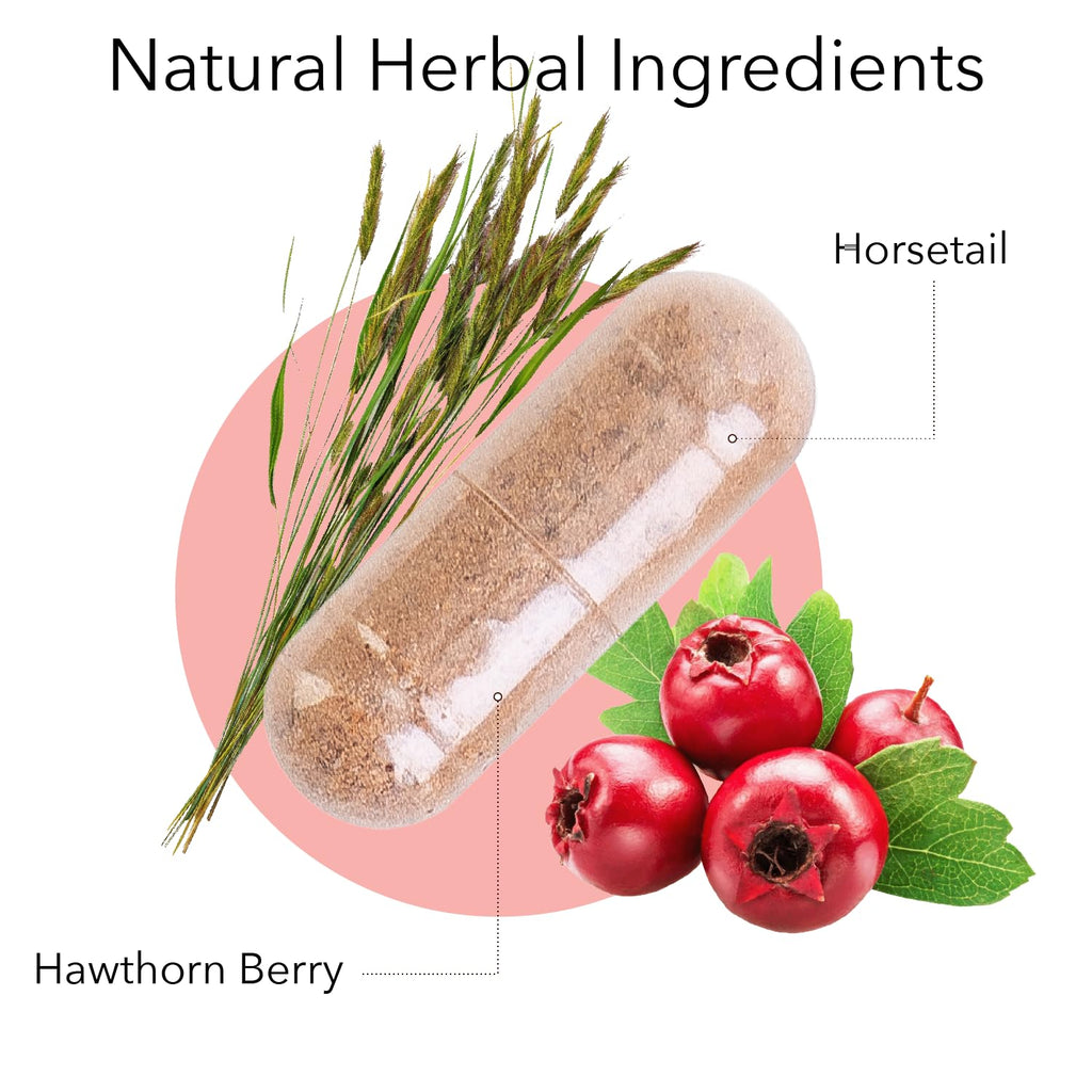 Kroeger Herb Circu Flow Hawthorn Berry Circulation Support - 270 Capsules - image 2