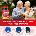 Quinovit DR·FOSTER CoQ10 300mg with PQQ & Shilajit - 120 Capsules - image 6