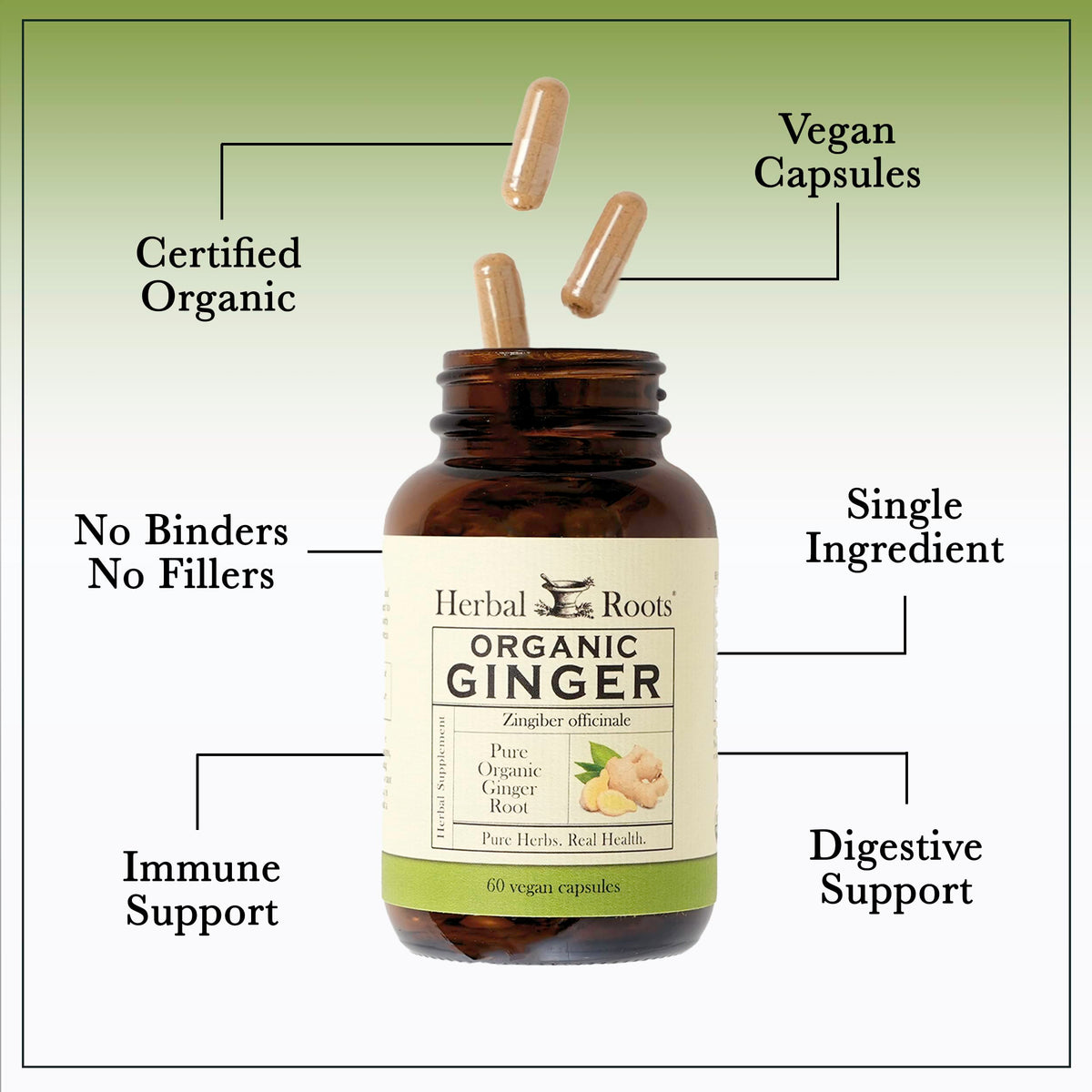 Herbal Roots Organic Ginger Capsules Digestive Support - 60 Capsules - image 4
