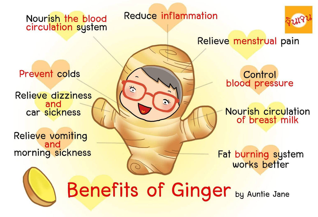 Gingen Instant Ginger with Honey Powder Tea - image 3