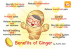 Gingen Instant Ginger with Honey Powder Tea - image 3