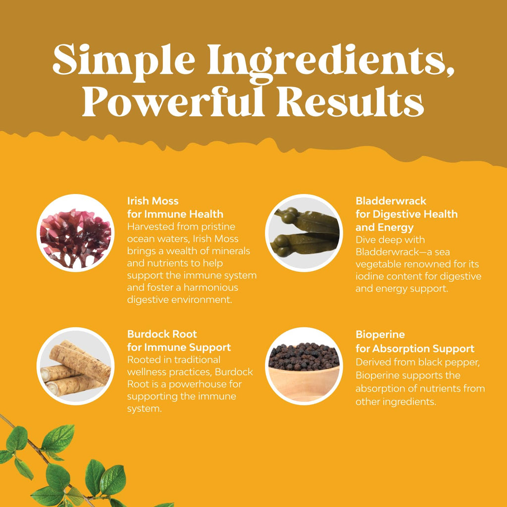 Natures Craft Irish Sea Moss Capsules with Bladderwrack & Burdock - 90 Capsules - image 3