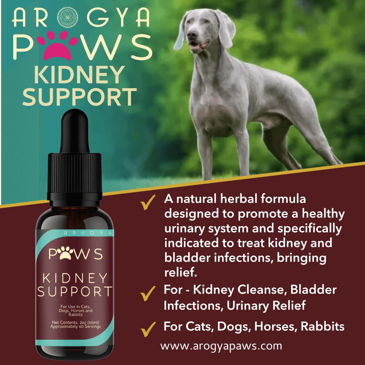 Arogya Paws Kidney Support - image 2