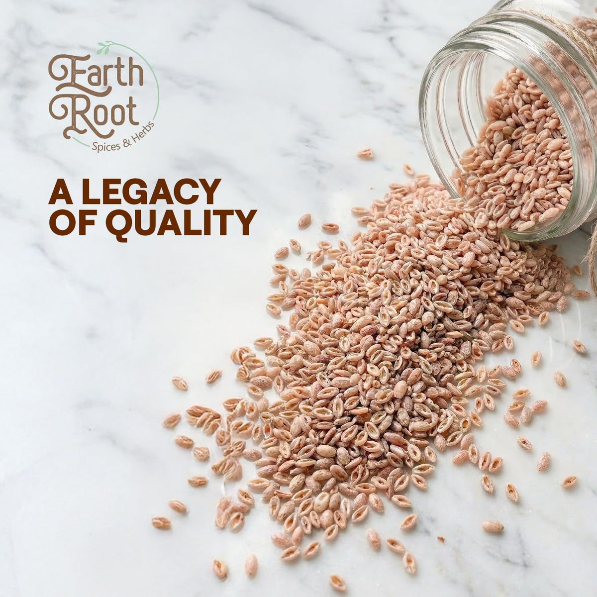 EARTHROOT Psyllium Husk Powder