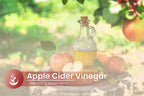 PURE ORIGINAL INGREDIENTS Apple Cider Vinegar - 100 Capsules - image 6