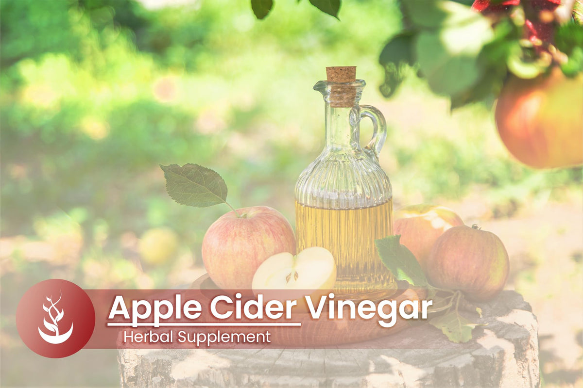 PURE ORIGINAL INGREDIENTS Apple Cider Vinegar - 100 Capsules - image 6