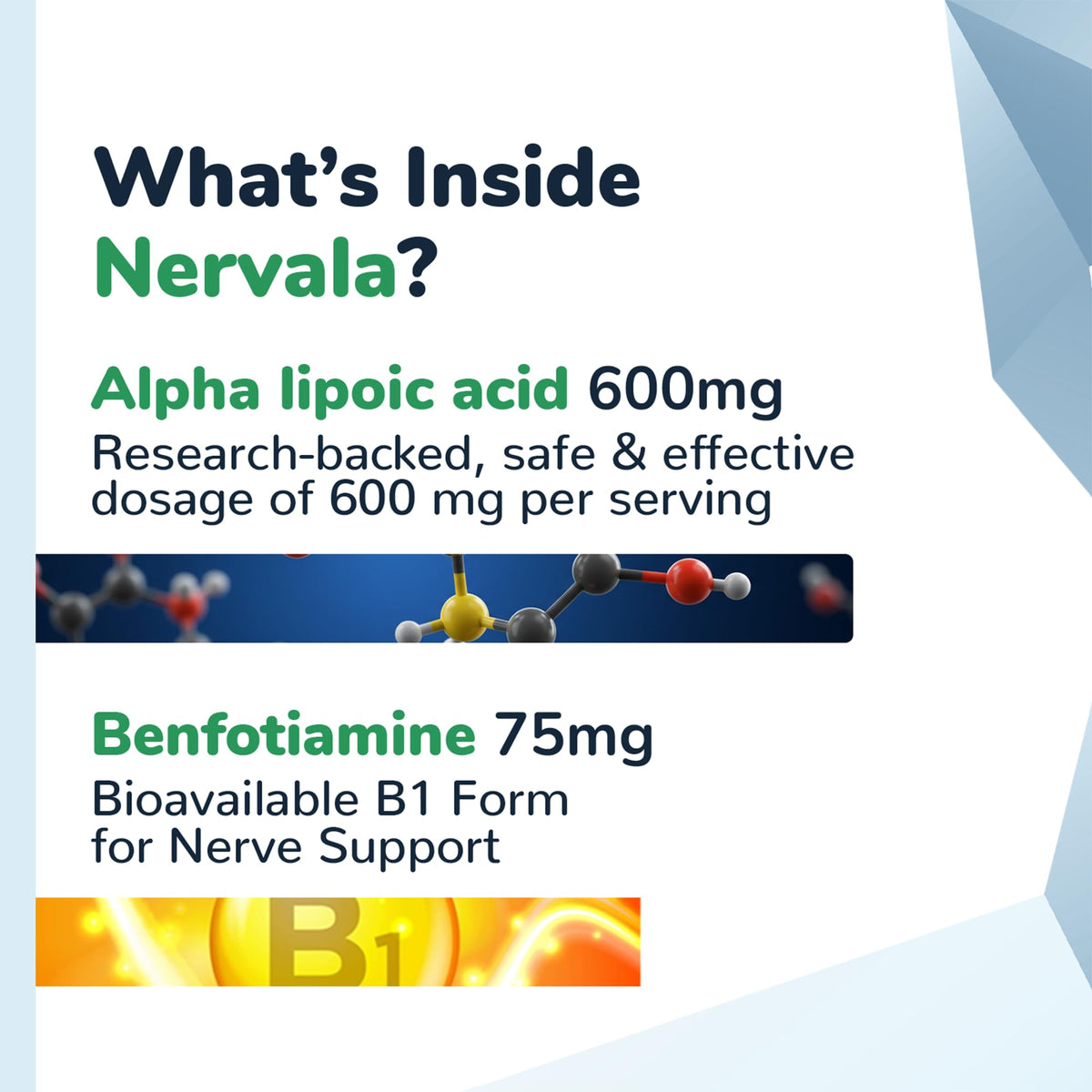 Barton Nutrition Nervala Alpha Lipoic Acid 600mg - 30 Capsules - image 6