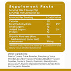 Premier Research Labs Aloe Vera Powder Mixed Berry - 7.4 Oz - image 6