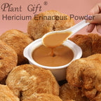 Plant Gift Hericium Erinaceus Powder - 100g - image 6