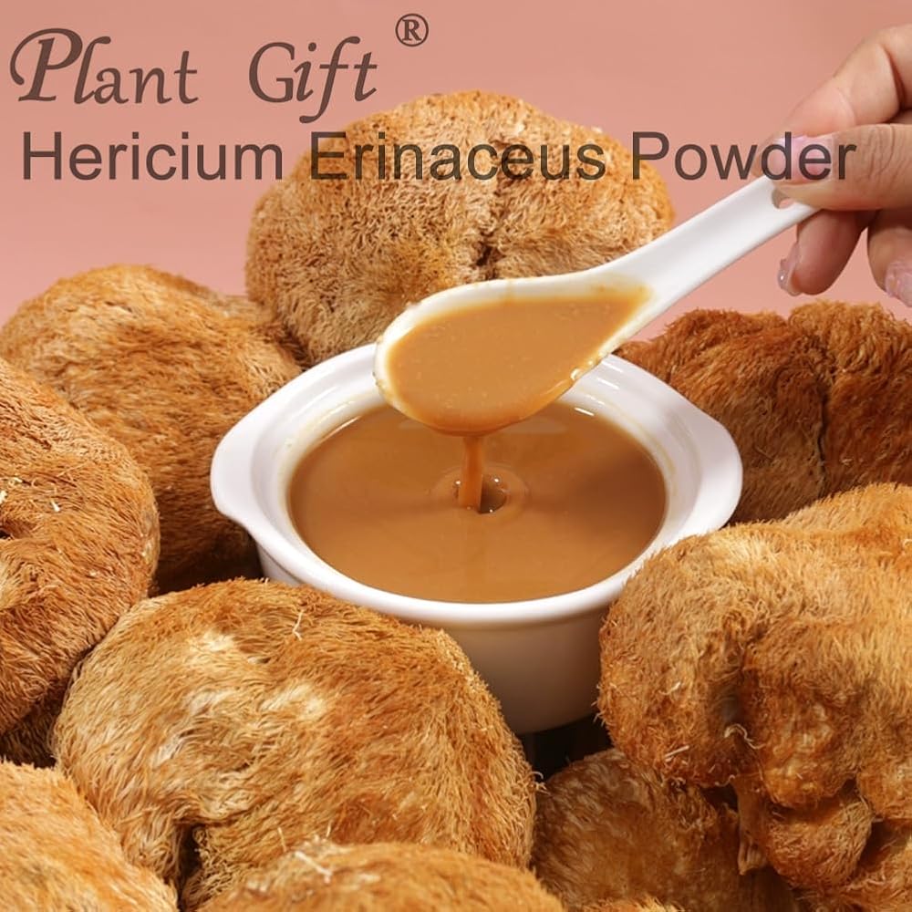 Plant Gift Hericium Erinaceus Powder - 100g - image 6