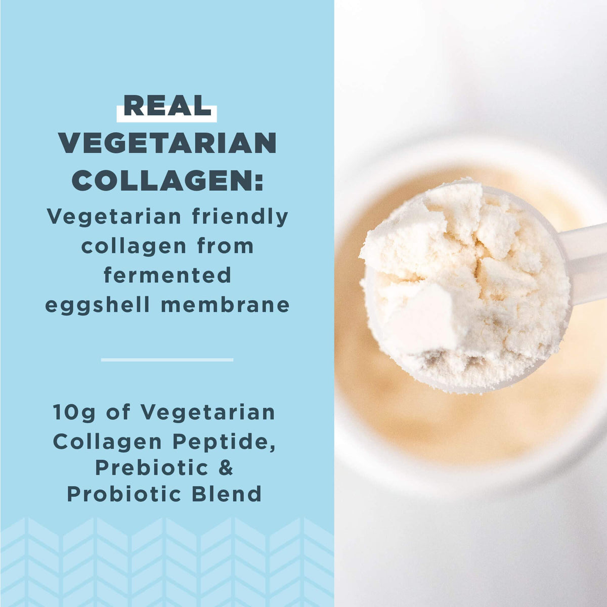 Ancient Nutrition Vegetarian Collagen Peptides Powder - 28 Servings - image 2